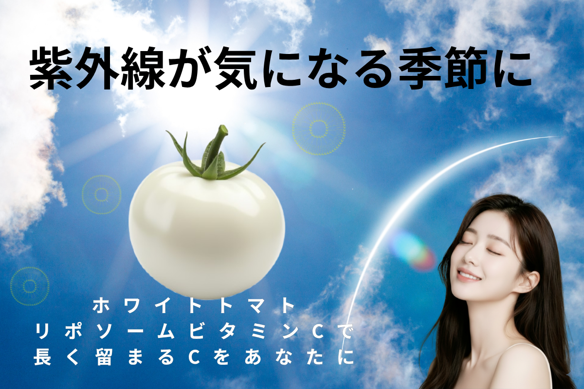 【白を育む】Silky Snow